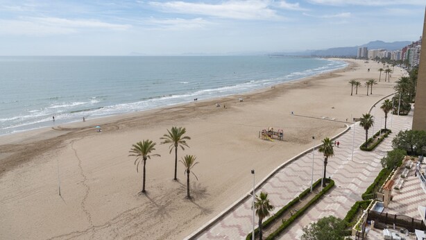 A beach with a promenade, palm trees, and buildings in the background. - EL RACO, A-8º-16 (Cullera)