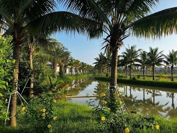 Lake - Blue Sea Hue Hotel (Hue)
