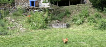 Retraite Naturelle au Bord de la Rivière
