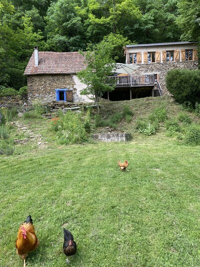 Retraite Naturelle au Bord de la Rivière