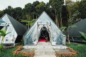 Ein transparentes Geodätendom-Zelt mit einem roten Bett im Inneren, umgeben von üppiger Vegetation und Bäumen.