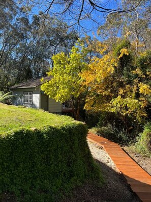Property grounds - Bottlebrush Cabin, cosy private cabin in the trees (Leura)