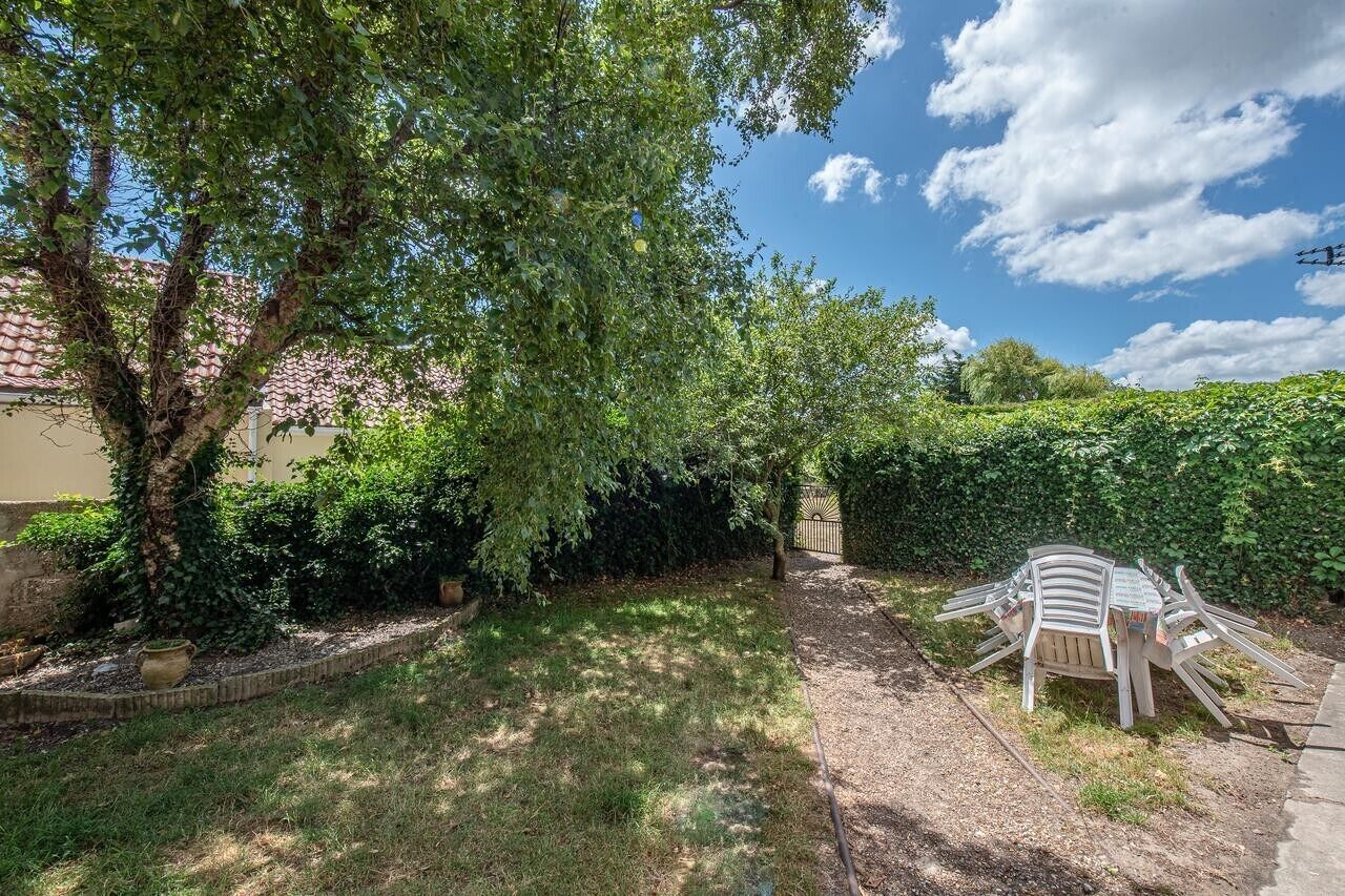 A garden with a tree, a pathway, and a chair.