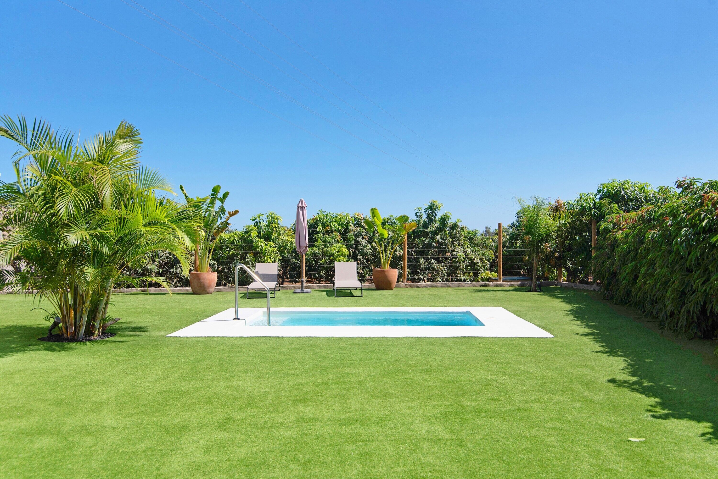A rectangular swimming pool surrounded by a well-maintained lawn, with potted plants and a few lounge chairs.