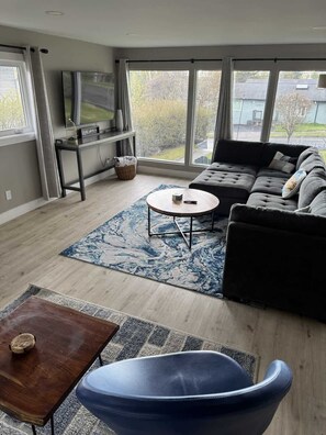 Smart TV, fireplace, books