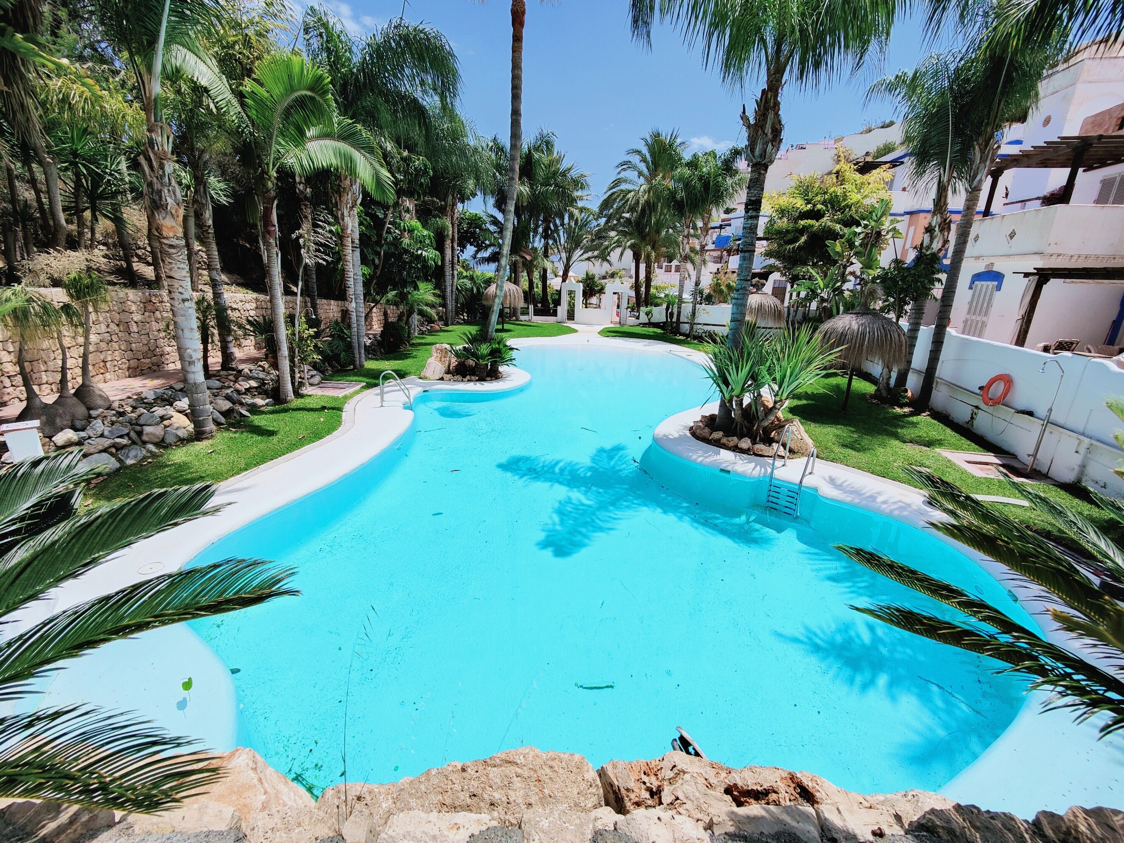 A swimming pool surrounded by palm trees and a stone wall.