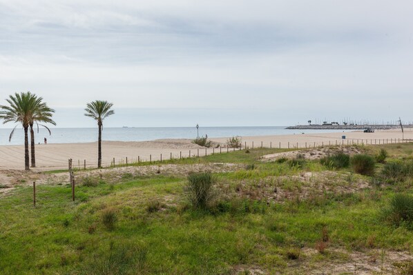 A beach with palm trees, a fence, and a distant pier.