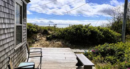 Windswept on Campground Beach