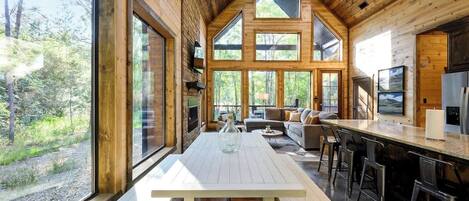 TV, fireplace, video games, books