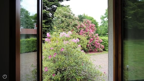 Vista de un jardín con arbustos florecientes de color rosa y un sendero pavimentado.