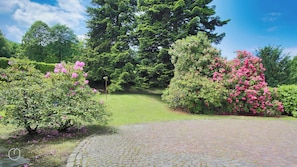 Un camino pavimentado que conduce a un exuberante jardín con arbustos florecientes y un gran árbol al fondo.