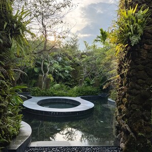 Garden - Rarin Villas (Chiang Mai)