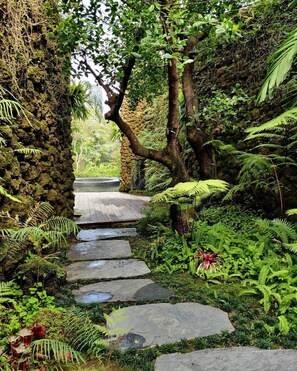 Jardim