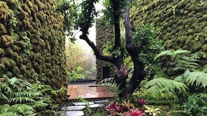 A lush garden with a stone pathway leading to a wooden door. - Rarin Villas (Chiang Mai)