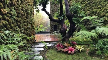 Vista al jardín