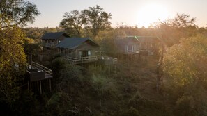 A series of wooden cabins elevated on stilts, surrounded by dense forest.