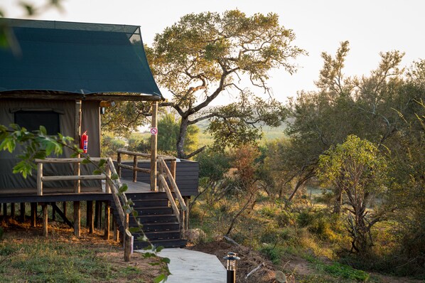 A wooden cabin with a staircase leading to a deck, surrounded by trees and natural landscape. - Nkuhlu Tented Camp (Nkomazi)