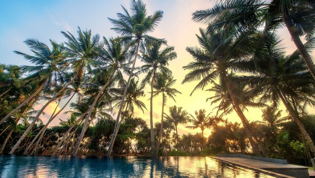 A poolside view with palm trees and a sunset. - Kirana - A Santani Villa (Bentota)
