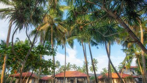 A resort with multiple buildings, palm trees, and a well-maintained lawn. - Kirana - A Santani Villa (Bentota)