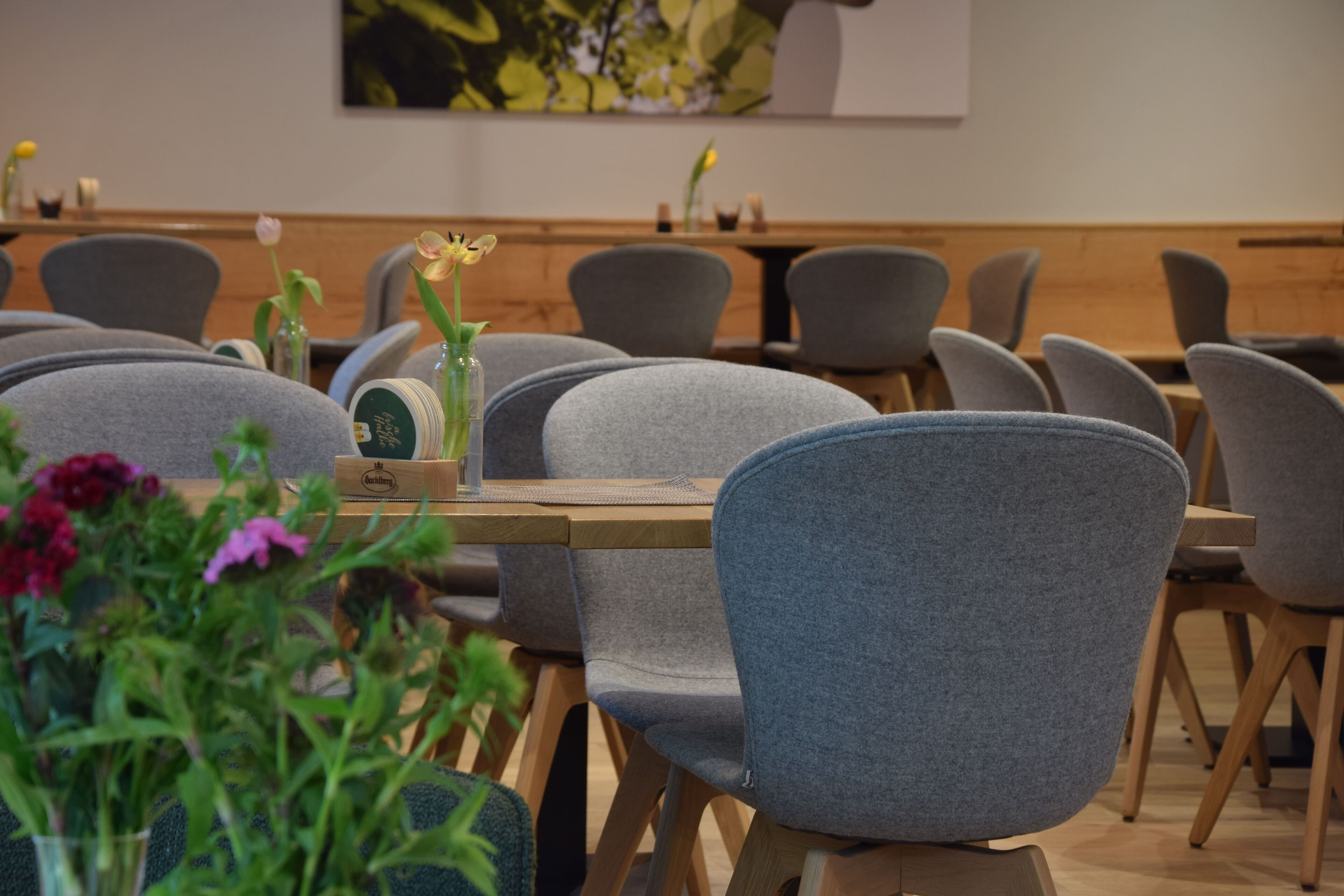 Un espace repas moderne avec des chaises à revêtement gris, des tables en bois et une variété de plantes en pot.
