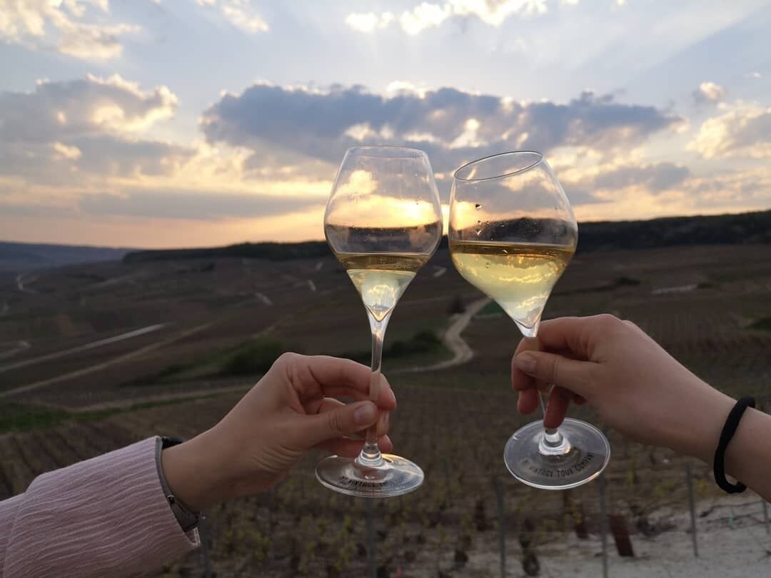 Zwei Hände halten Weingläser, im Hintergrund ein Weinberg.