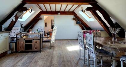 Character house from 1894 in the heart of the Champagne vineyards, near Epernay