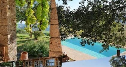 Hydrangea House, Bellavista Farm