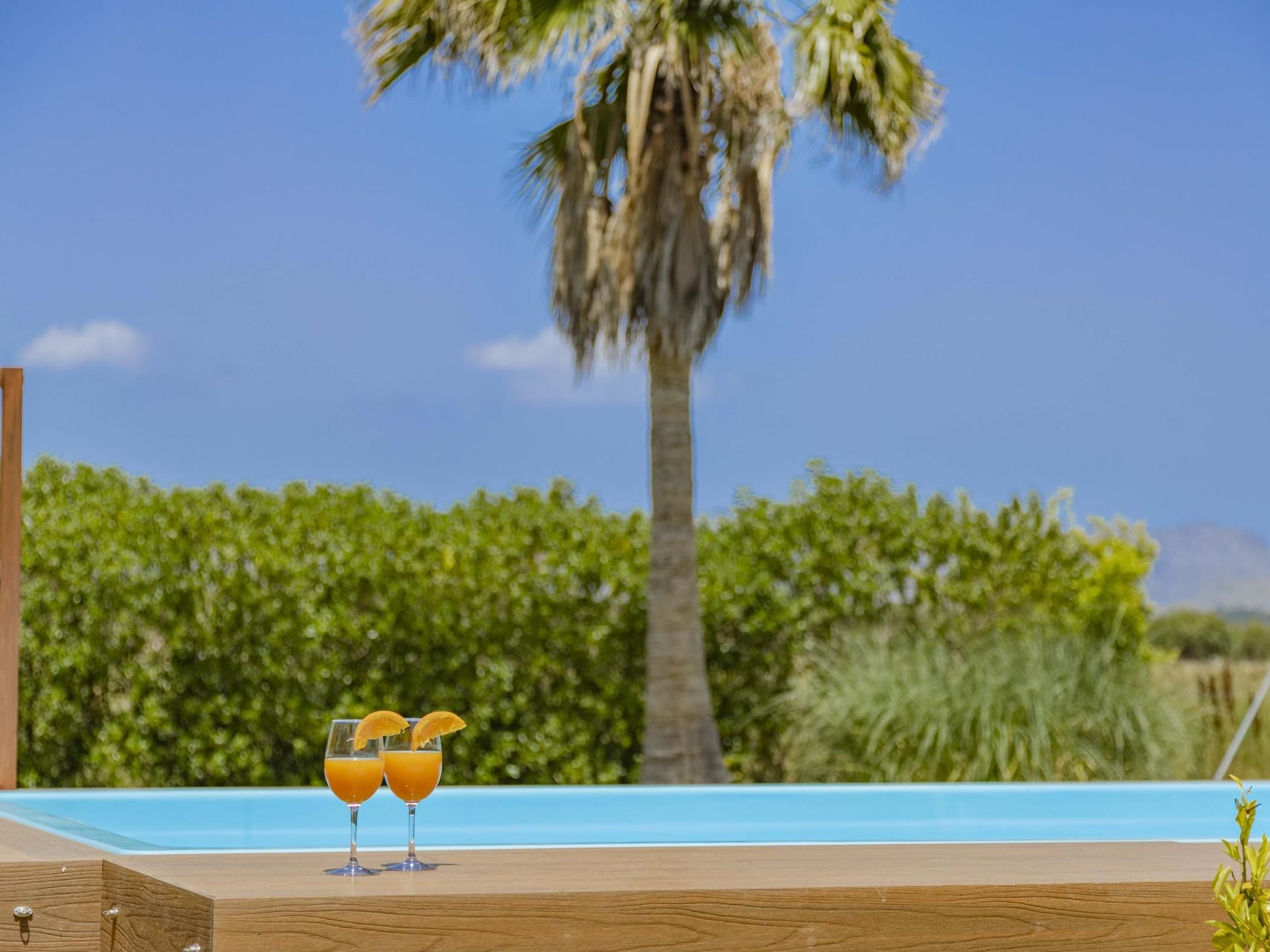 A poolside area with two glasses of orange juice on a wooden surface, a palm tree, and a clear blue sky.