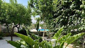 Un jardin avec différentes sortes de plantes et une piscine en arrière-plan.