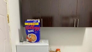 A kitchen with a white refrigerator, a box of Kellogg's Frosties cereal, a can of soup, and a bottle of mustard on the counter. - Matano Guest House (Brikama)