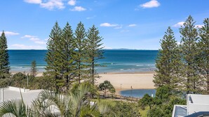Une plage bordée de pins majestueux, avec un ciel dégagé et une vue imprenable sur l’océan.