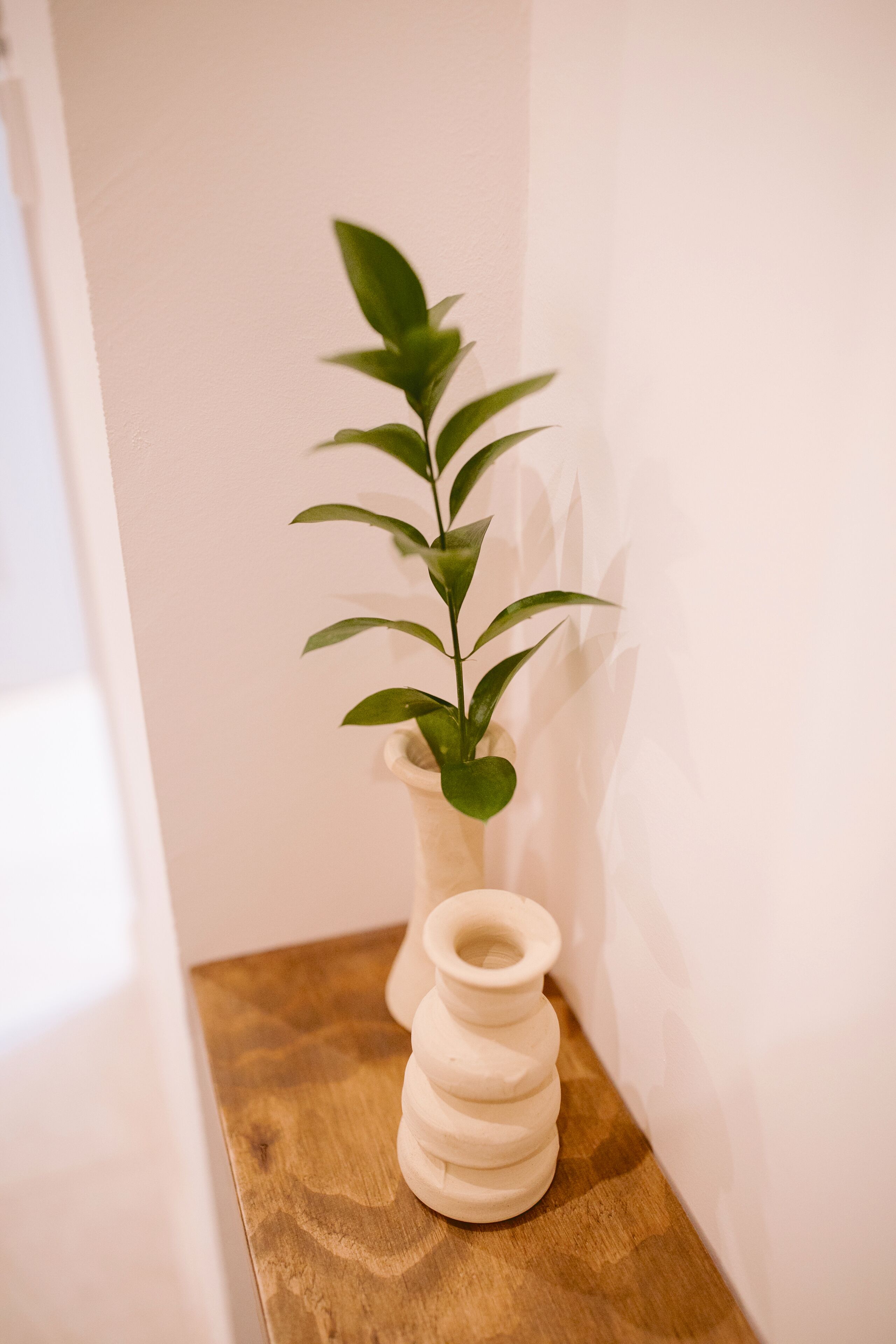 A white vase with a plant on a wooden surface against a white wall.