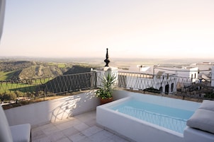 Premium Room | Terrace/patio