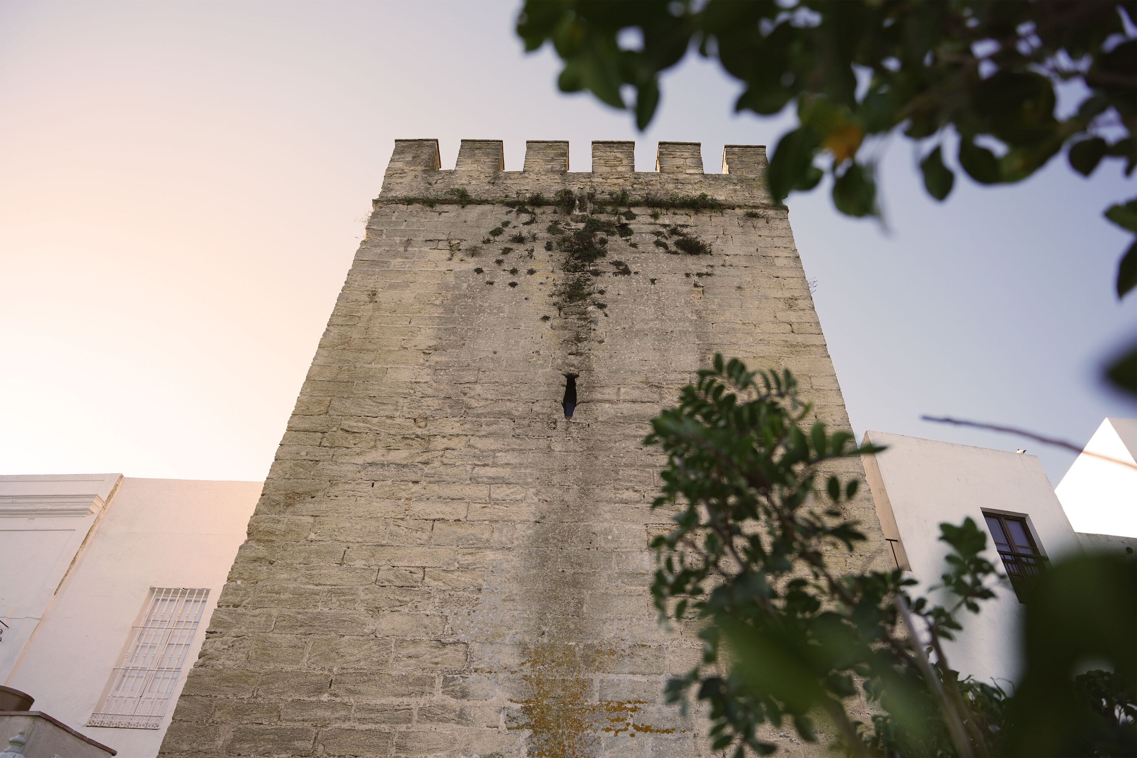 Foto - Casa Aura Hotel