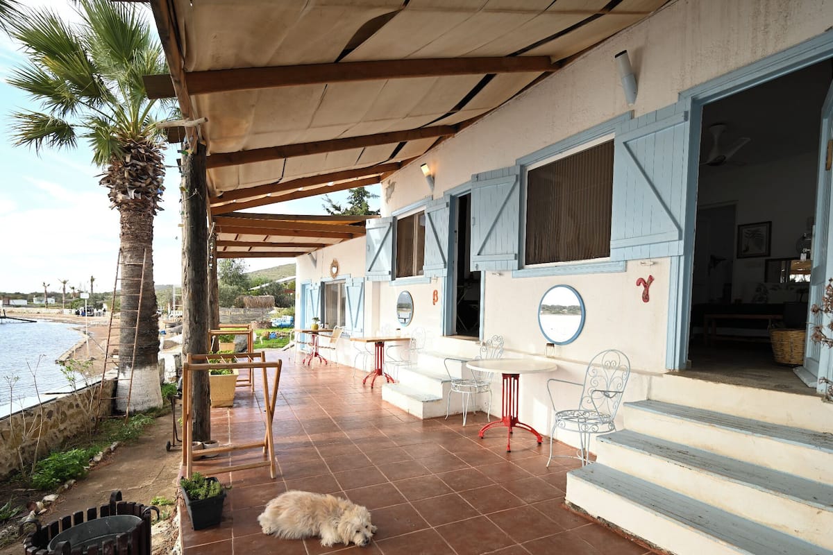 A covered outdoor seating area with tables and chairs, a dog, and a view of the sea.