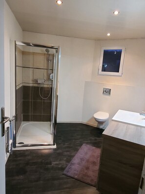 Shower, towels, toilet paper