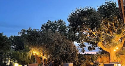 En Provence, un Grand mas Authentique