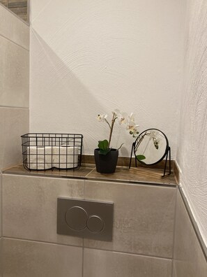 A bathroom with a tiled wall, a toilet paper holder, a potted plant, and a mirror.