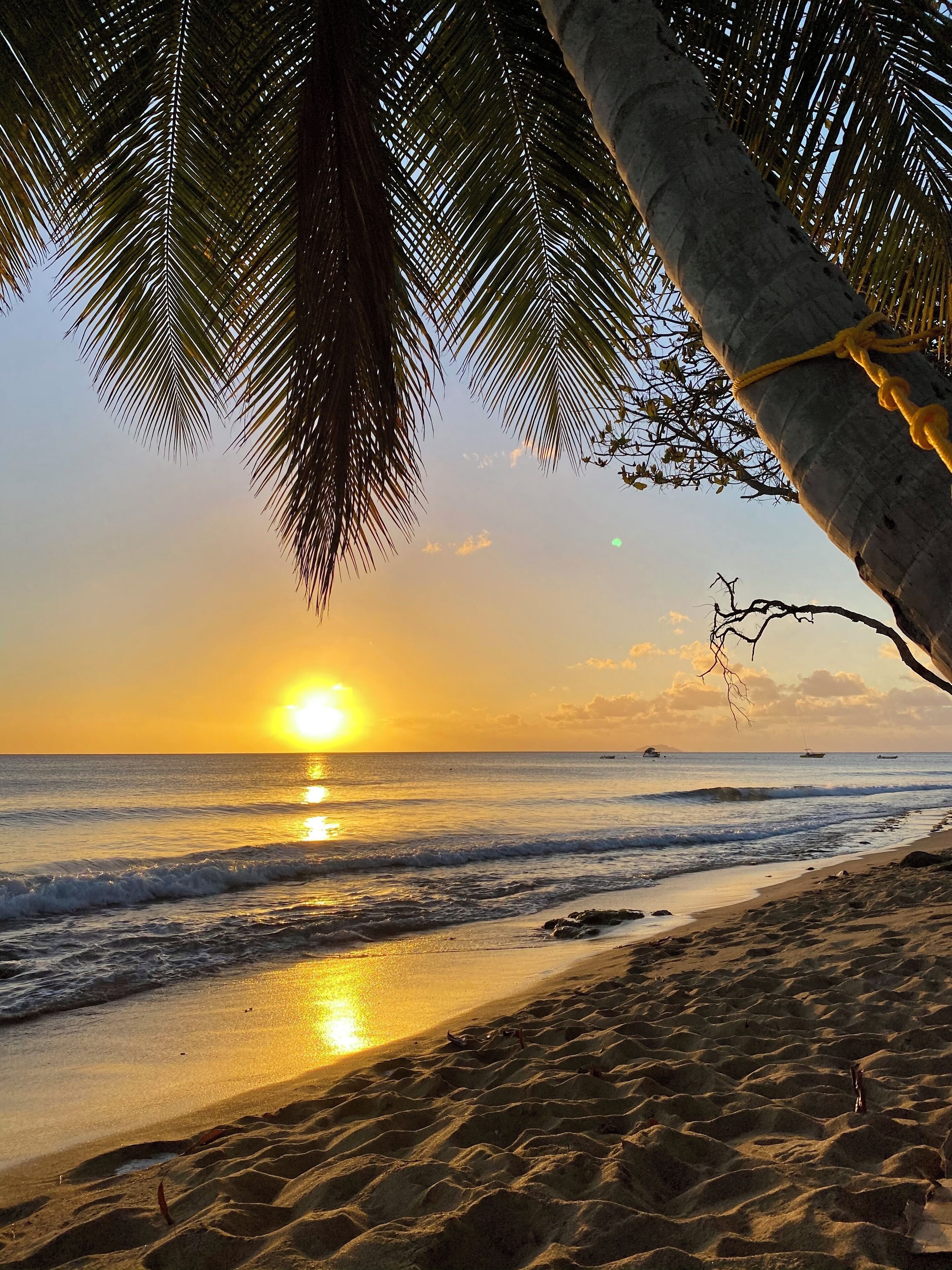 Tumbonas y toallas de playa