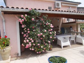 Terassi/patio
