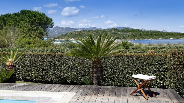 A wooden deck with a pool, a palm tree, and a view of a lake and mountains.