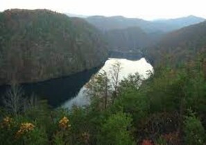 Surrounded by dense forest, this serene valley features a tranquil body of water.
