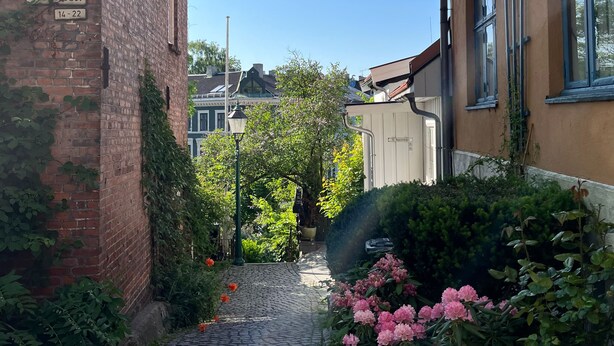 Eksteriør