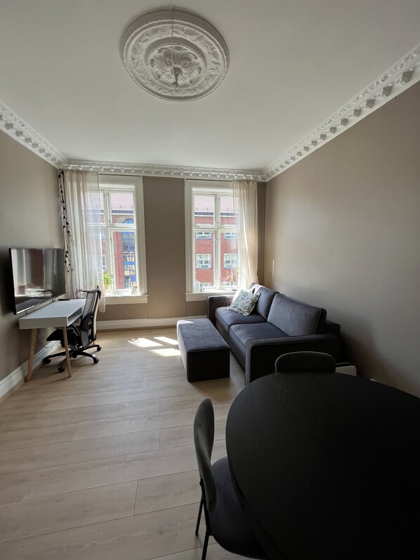 Deluxe Apartment | Living area