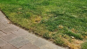 Un jardín bien cuidado con césped, un banco de madera, una cerca blanca y un camino pavimentado.