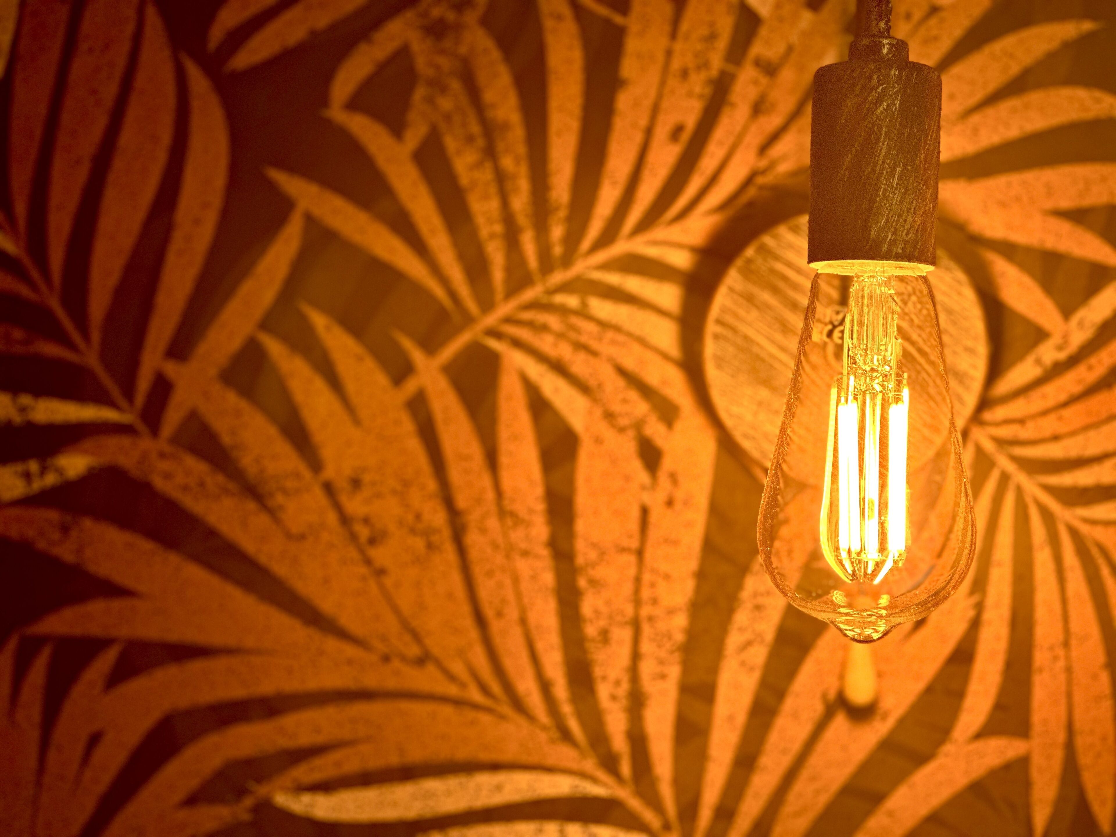 Un gros plan d’une ampoule avec un filament à l’intérieur, sur un fond orné de motifs de feuilles.