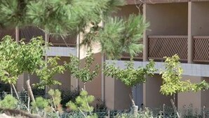 Ein Gebäude mit beiger Fassade, mehreren Balkonen mit gemusterten Geländern und umgebender Bepflanzung.