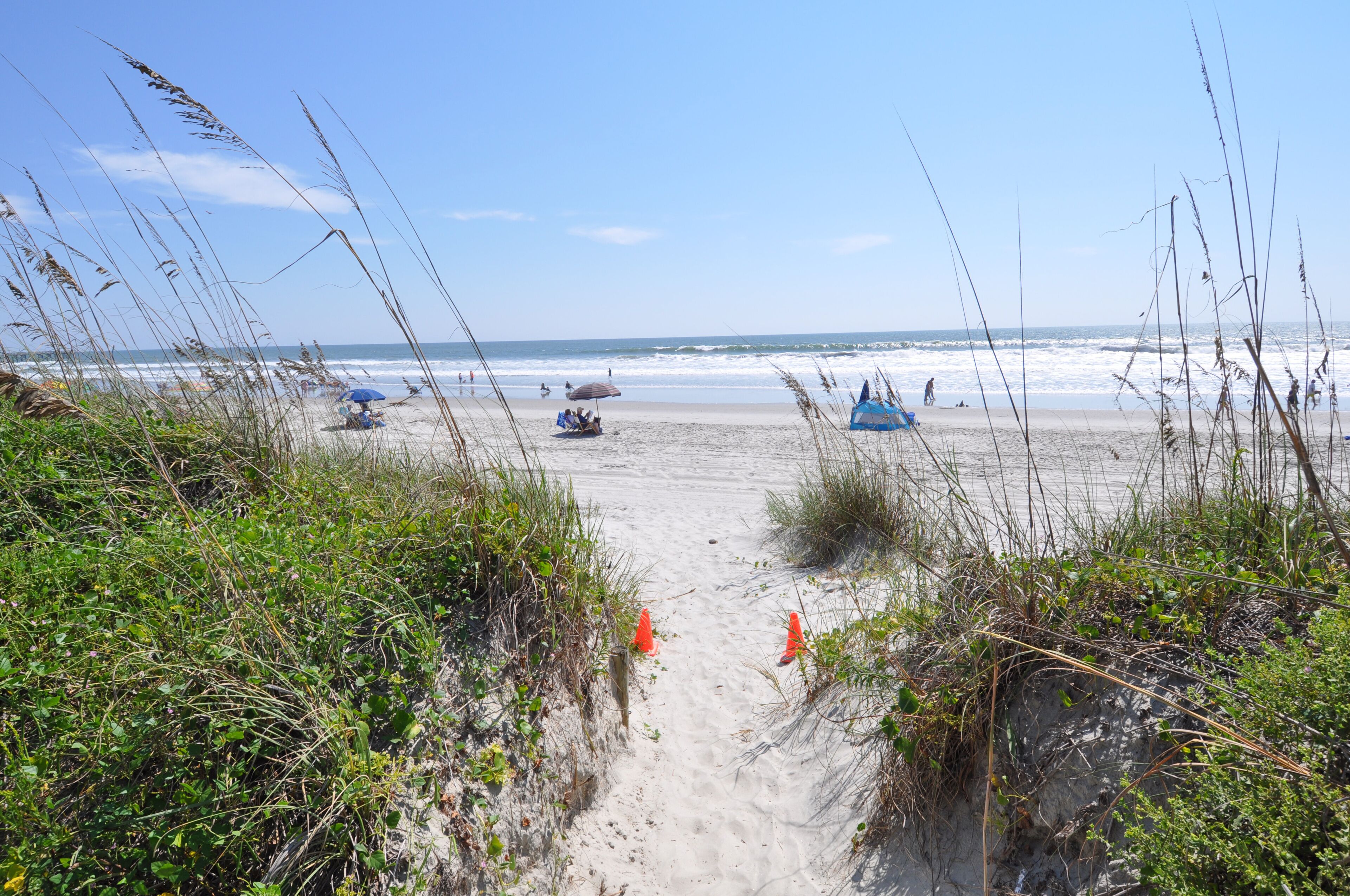 Luxury1BR Oceanfront with Pool , Close to Shops, Beach Bars, Dining & More