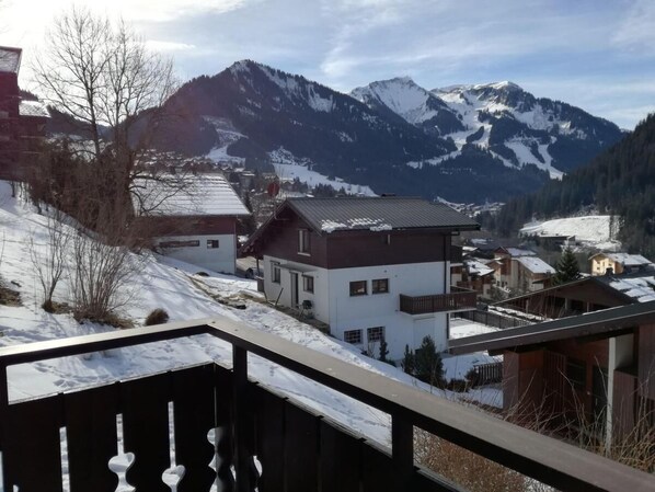 Property grounds - Ground floor, balcony, parking, tv, ski locker, 30m², Châtel (Châtel)