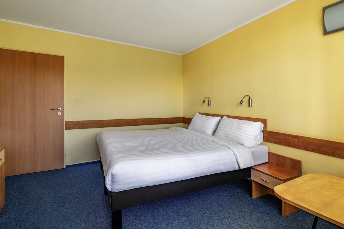 Standard Room, 1 Double Bed